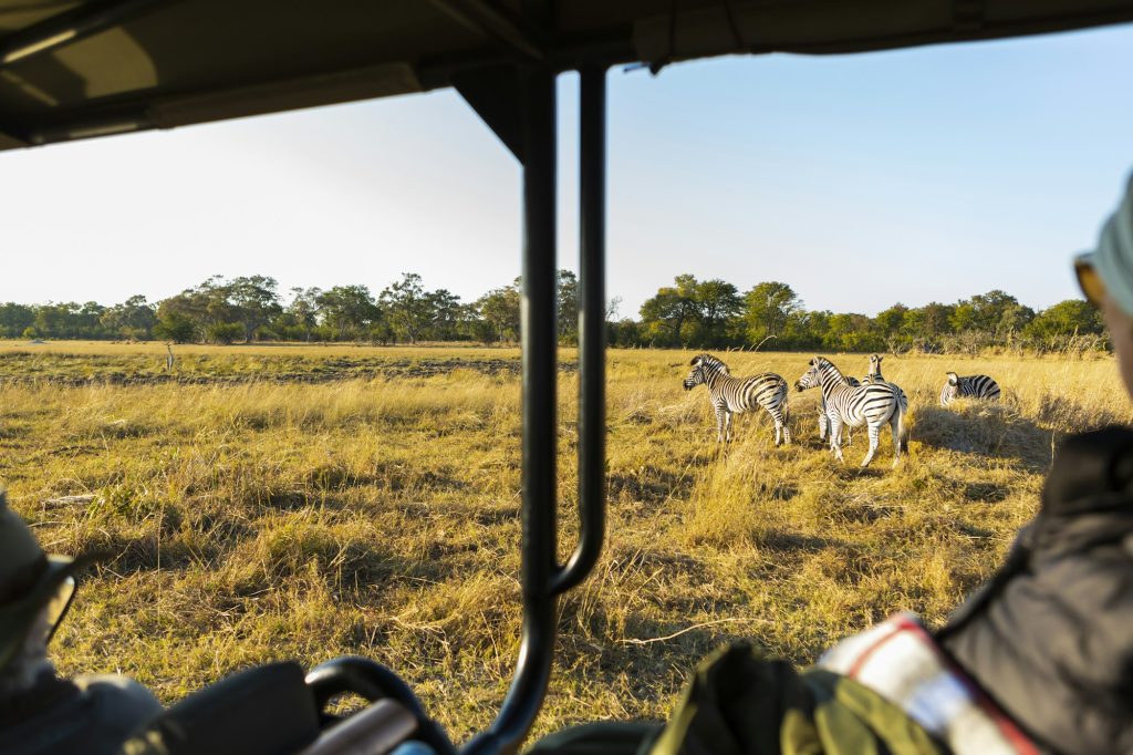 Passengers in a safari jeep watching a small group of zebra grazing